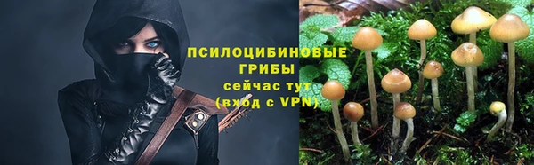 соль курить ск Белокуриха