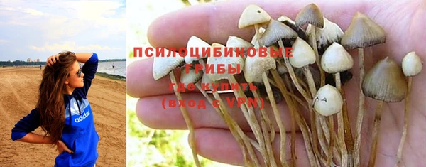 соль курить ск Белокуриха