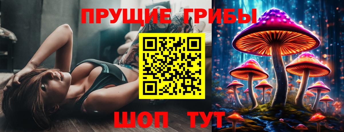 Галлюциногенные грибы GOLDEN TEACHER Бугульма